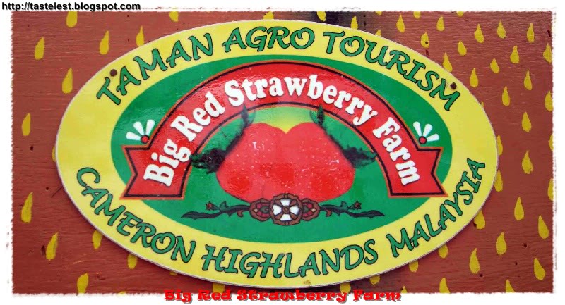 Big Red Strawberry Farm