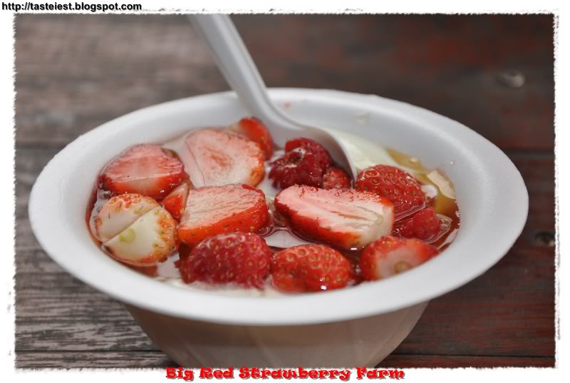 Strawberry Yogurt