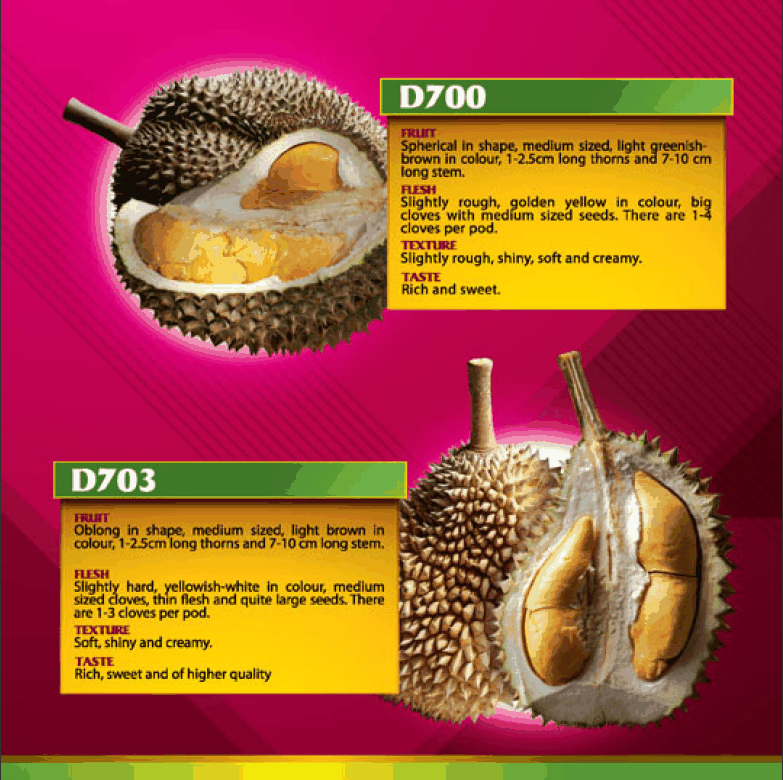 Durian