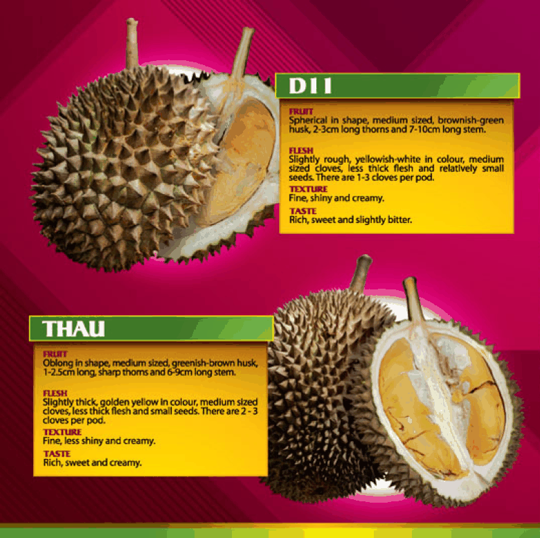 Durian
