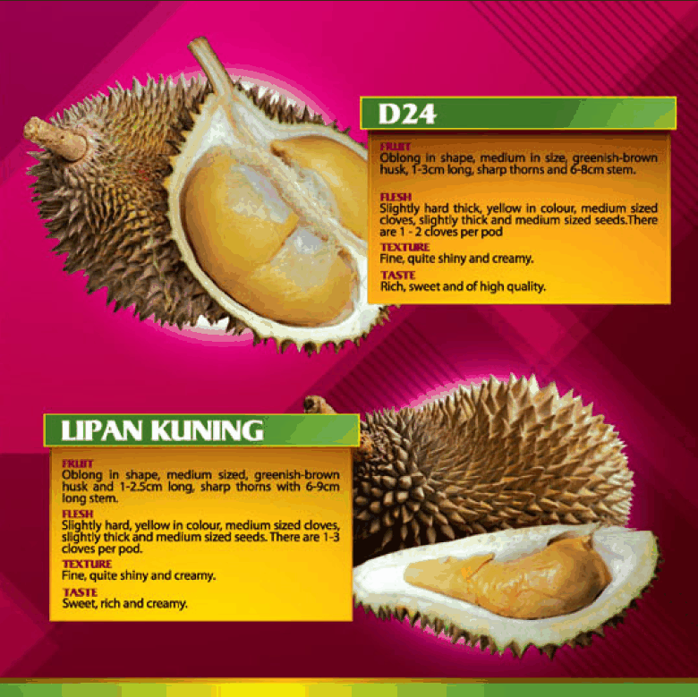 Durian