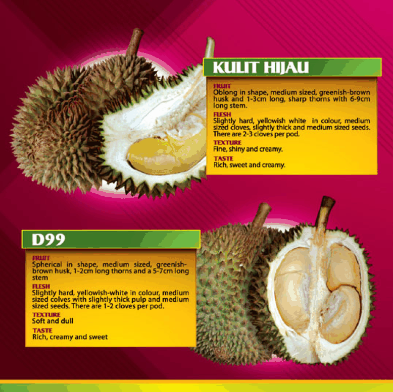 Durian