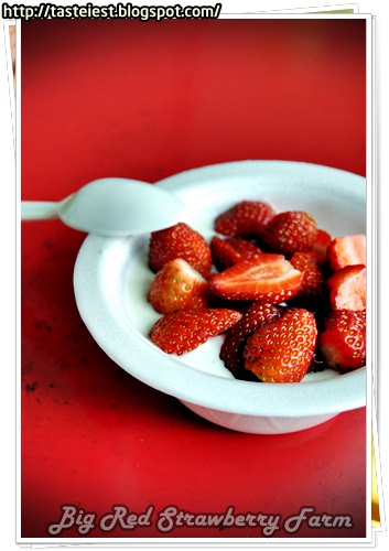 Strawberry Yogurt