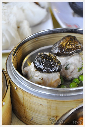 Mushroom Pork Dim Sum